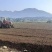 稻田2000亩，耕地400亩种植冬瓜蔬菜的客商前来洽谈