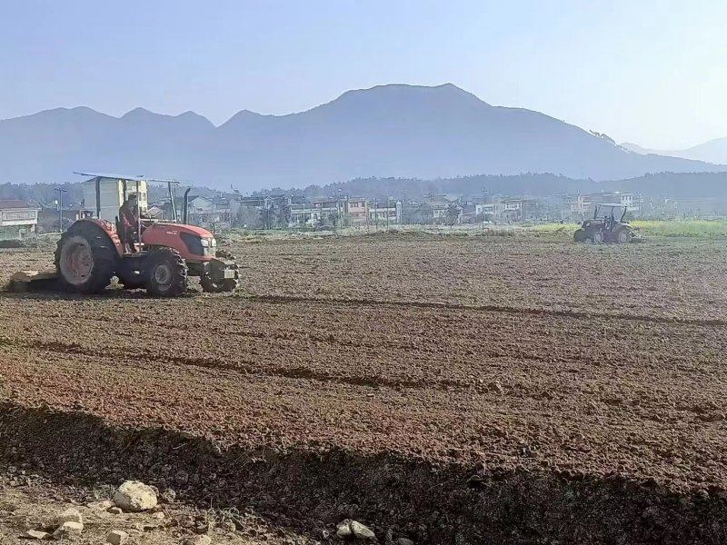 稻田2000亩，耕地400亩种植冬瓜蔬菜的客商前来洽谈