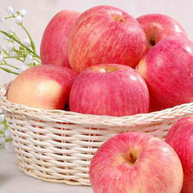 洛阳红富士苹果，产地一手货源，脆甜可口，质量保证欢迎来电