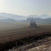 土地坑塘出租千亩基地出租价格实惠诚信为本欢迎来电