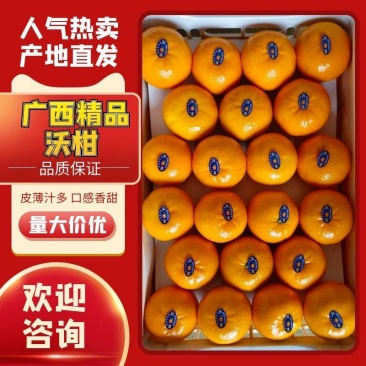 广西精品沃柑电商货皮薄水分足费用低可视频价低量大