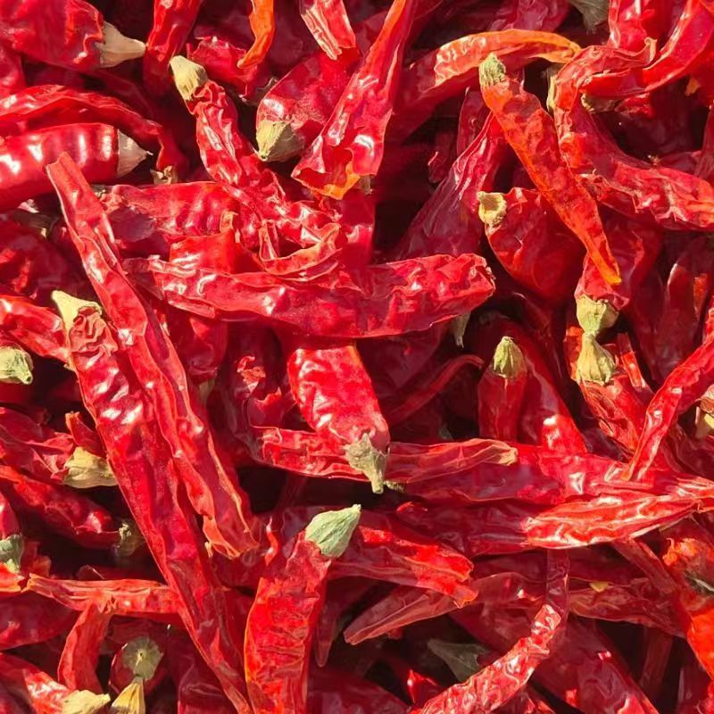 特辣干辣椒批发魔鬼辣椒干辣椒香辣辣椒粉辣椒段干红辣椒质量