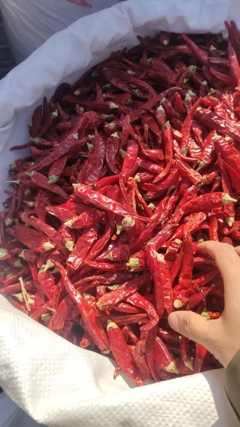 特辣干辣椒批发魔鬼辣椒干辣椒香辣辣椒粉辣椒段干红辣椒质量