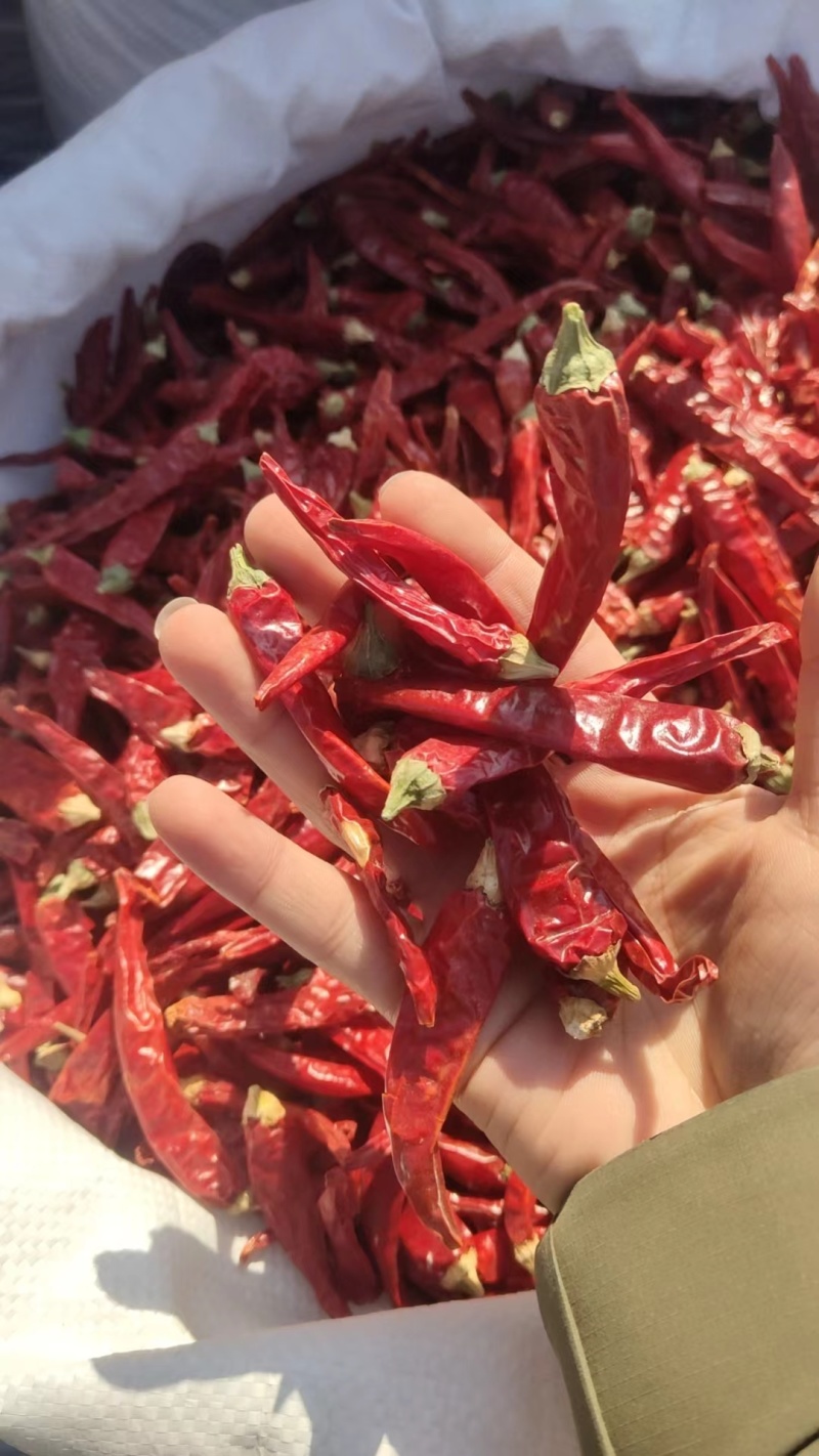 特辣干辣椒批发魔鬼辣椒干辣椒香辣辣椒粉辣椒段干红辣椒质量
