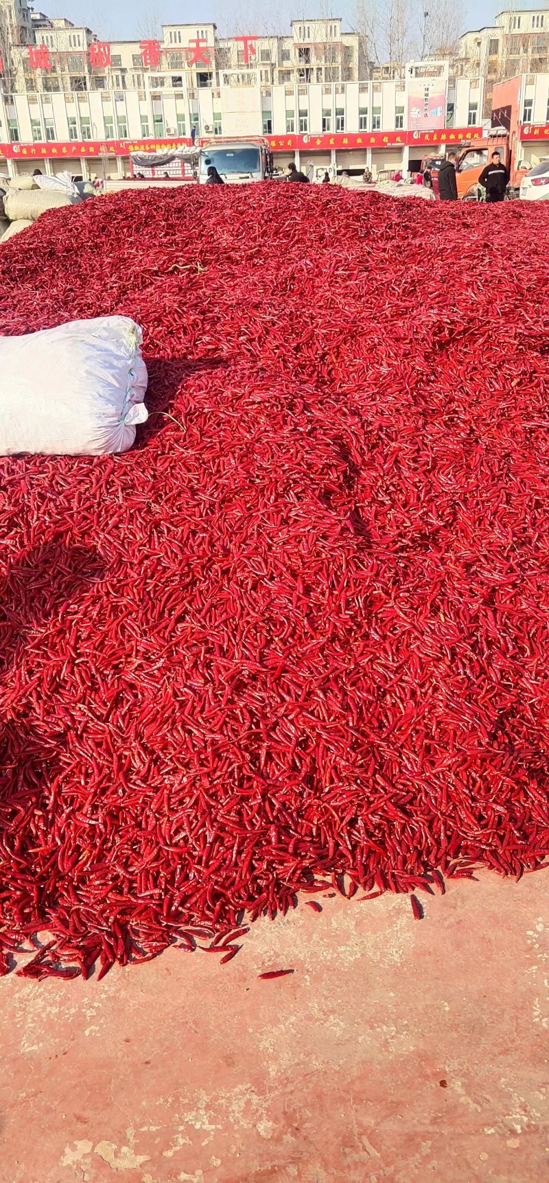 特辣干辣椒批发魔鬼辣椒干辣椒香辣辣椒粉辣椒段干红辣椒质量