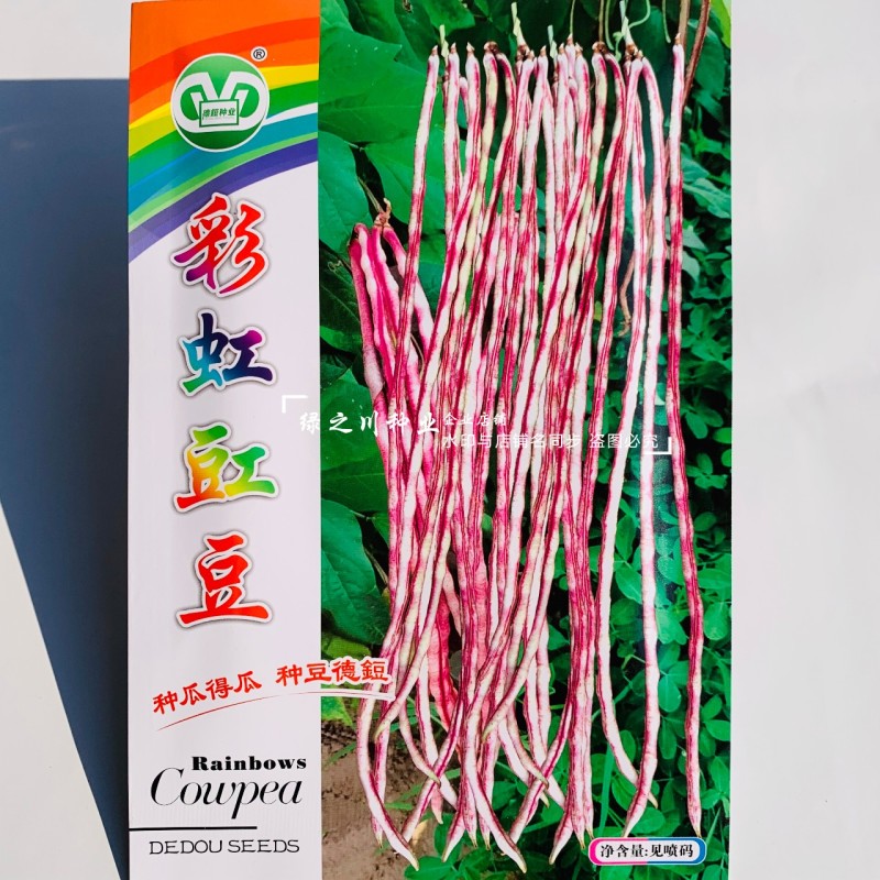 彩纹豇豆种子花皮豇豆龙纹豇豆种子口感软糯特色长豆角种子