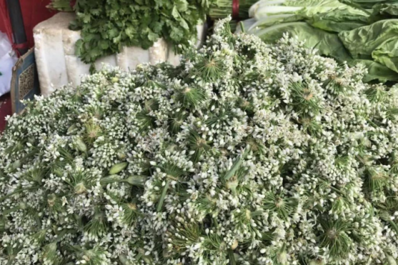 精选韭花酱，口感纯正，量大从优，品质保证欢迎采购洽谈