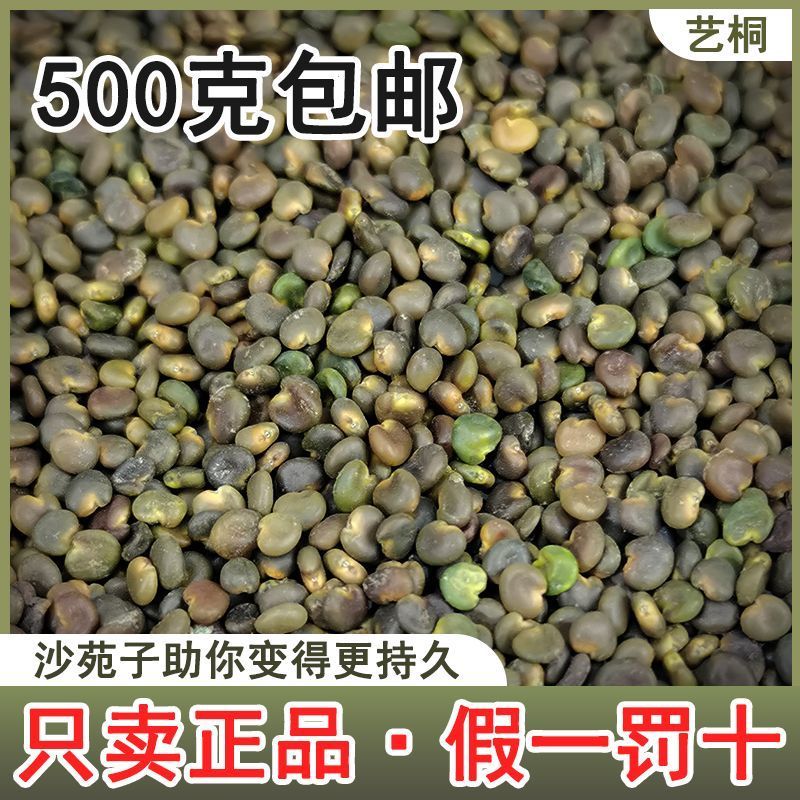 沙苑子陕西渭南男士泡茶正品批发大货