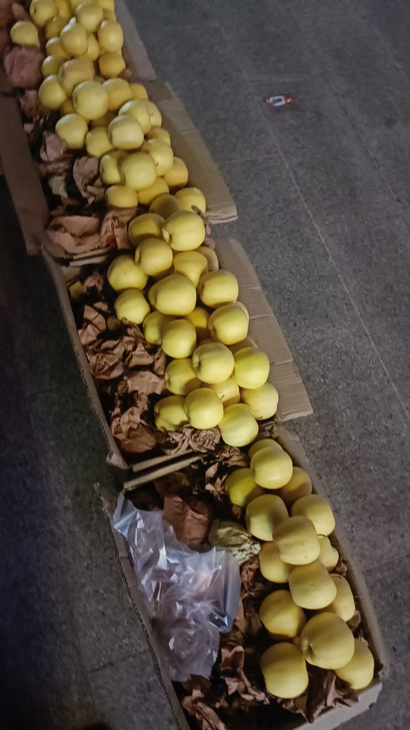 黄金帅