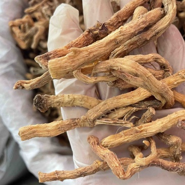 玉竹野生玉竹个子纯无硫不酸煲汤鲜味甜一手货源稳定供货