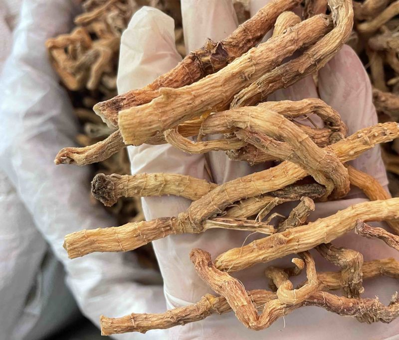 玉竹野生玉竹个子纯无硫不酸煲汤鲜味甜一手货源稳定供货