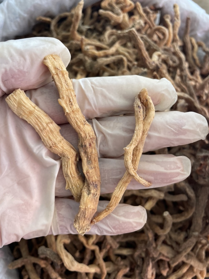 玉竹野生玉竹个子纯无硫不酸煲汤鲜味甜一手货源稳定供货