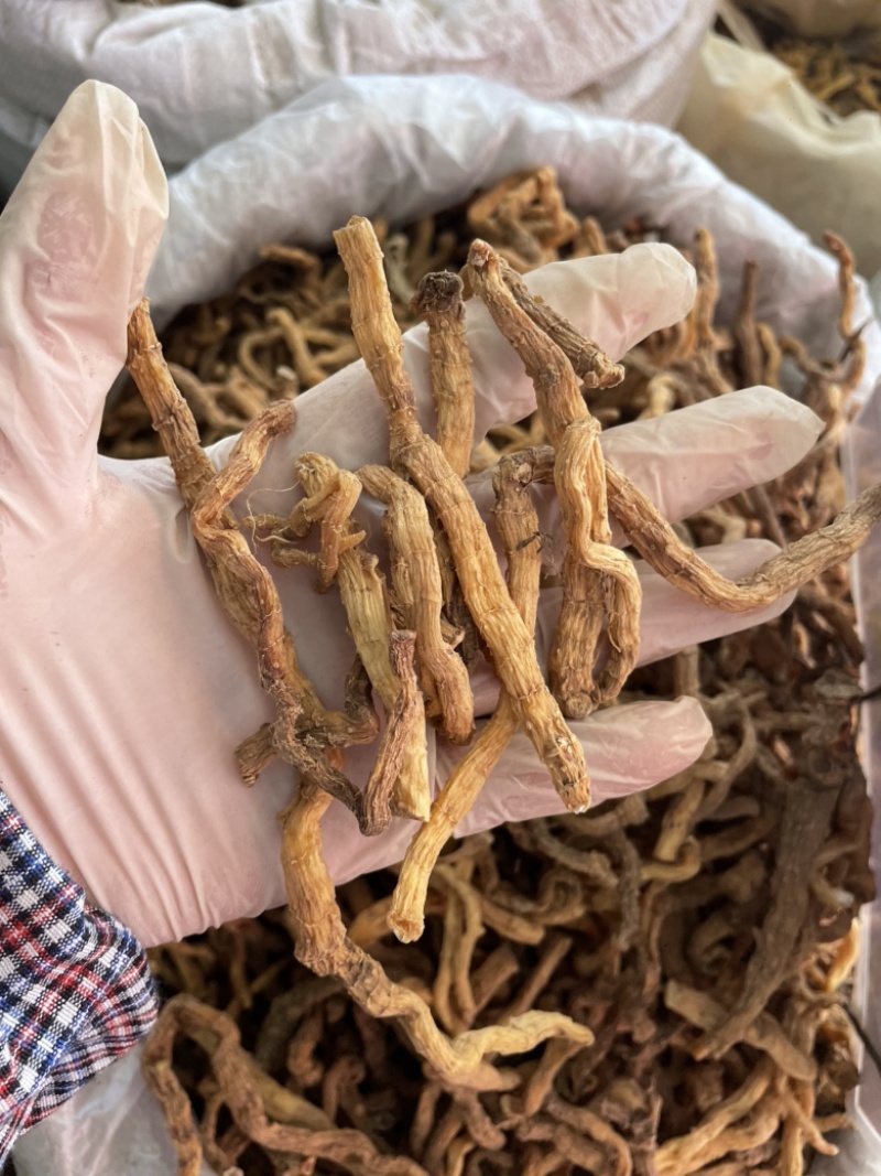 玉竹野生玉竹个子纯无硫不酸煲汤鲜味甜一手货源稳定供货