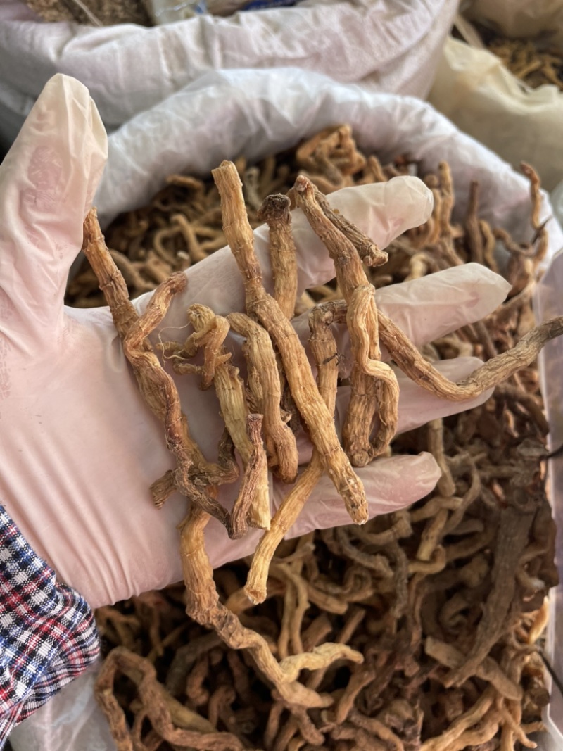 玉竹野生玉竹个子纯无硫不酸煲汤鲜味甜一手货源稳定供货