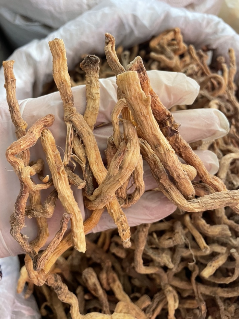 玉竹野生玉竹个子纯无硫不酸煲汤鲜味甜一手货源稳定供货