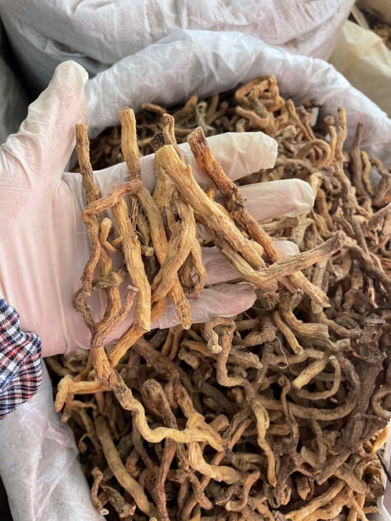 玉竹野生玉竹个子纯无硫不酸煲汤鲜味甜一手货源稳定供货