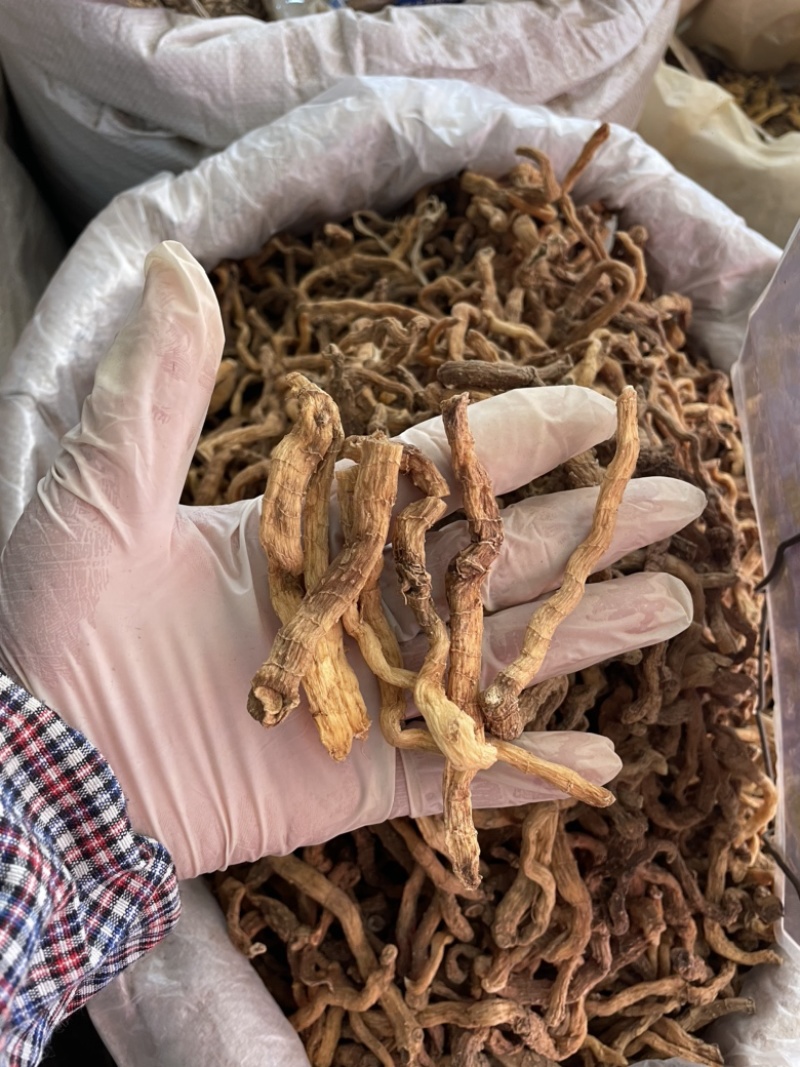 玉竹野生玉竹个子纯无硫不酸煲汤鲜味甜一手货源稳定供货