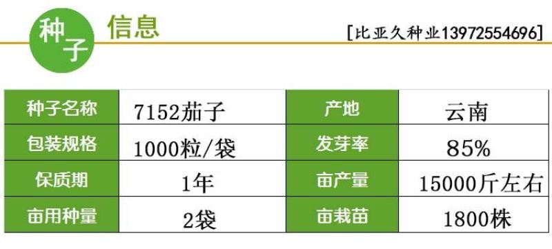 比亚久7152绿萼茄子种子适合春秋保护地和露地栽培