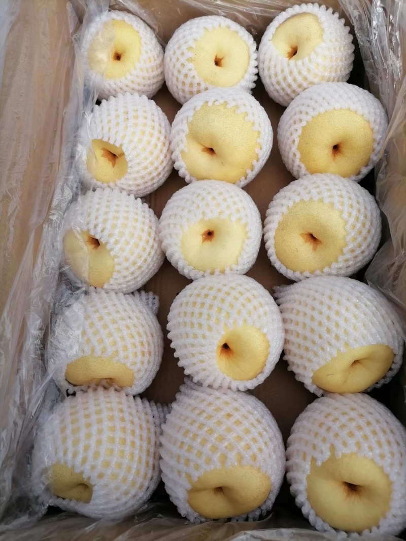 梨