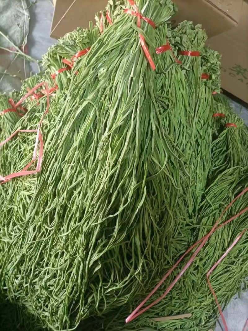 贡菜干，加工基地直发，量大优惠，质量保