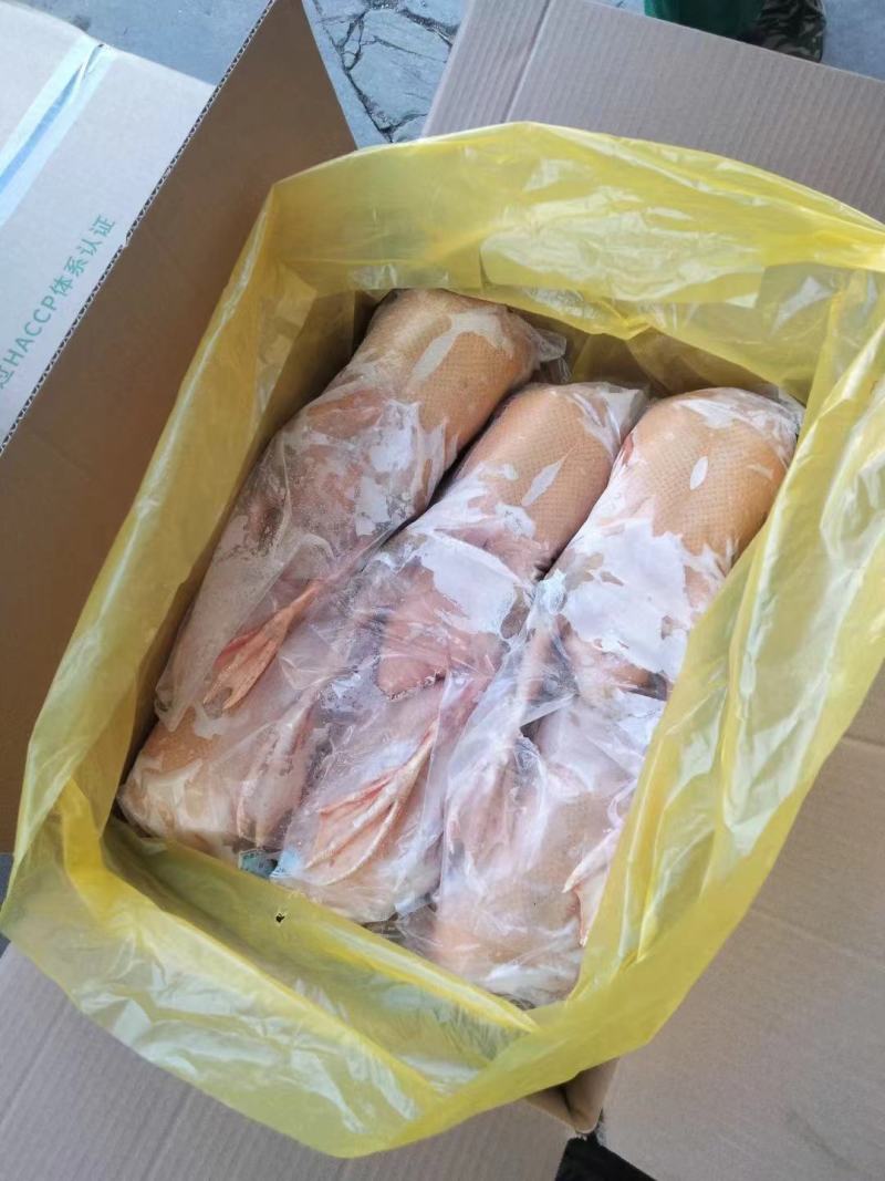 黄皮鸭