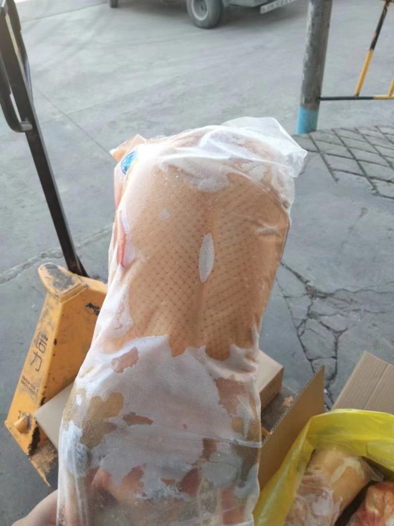 黄皮鸭