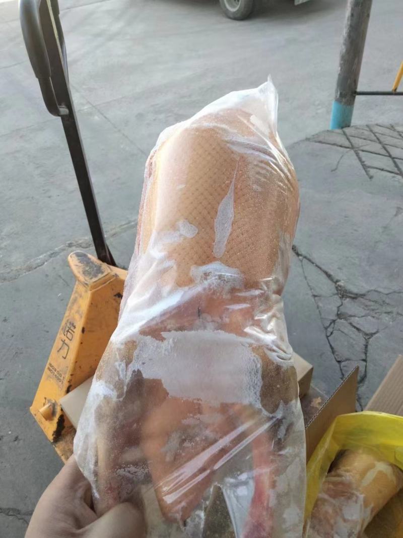 黄皮鸭