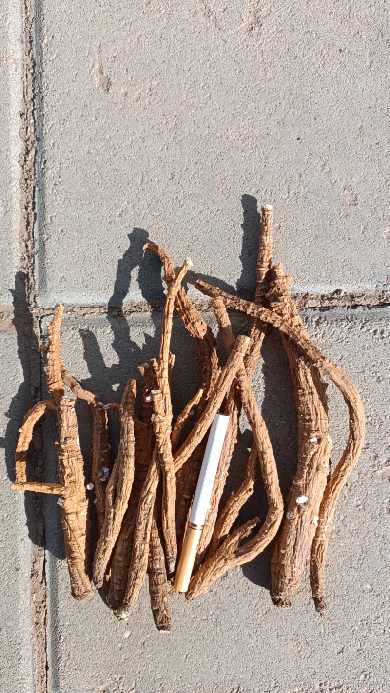 皮干北沙参可以电话联系