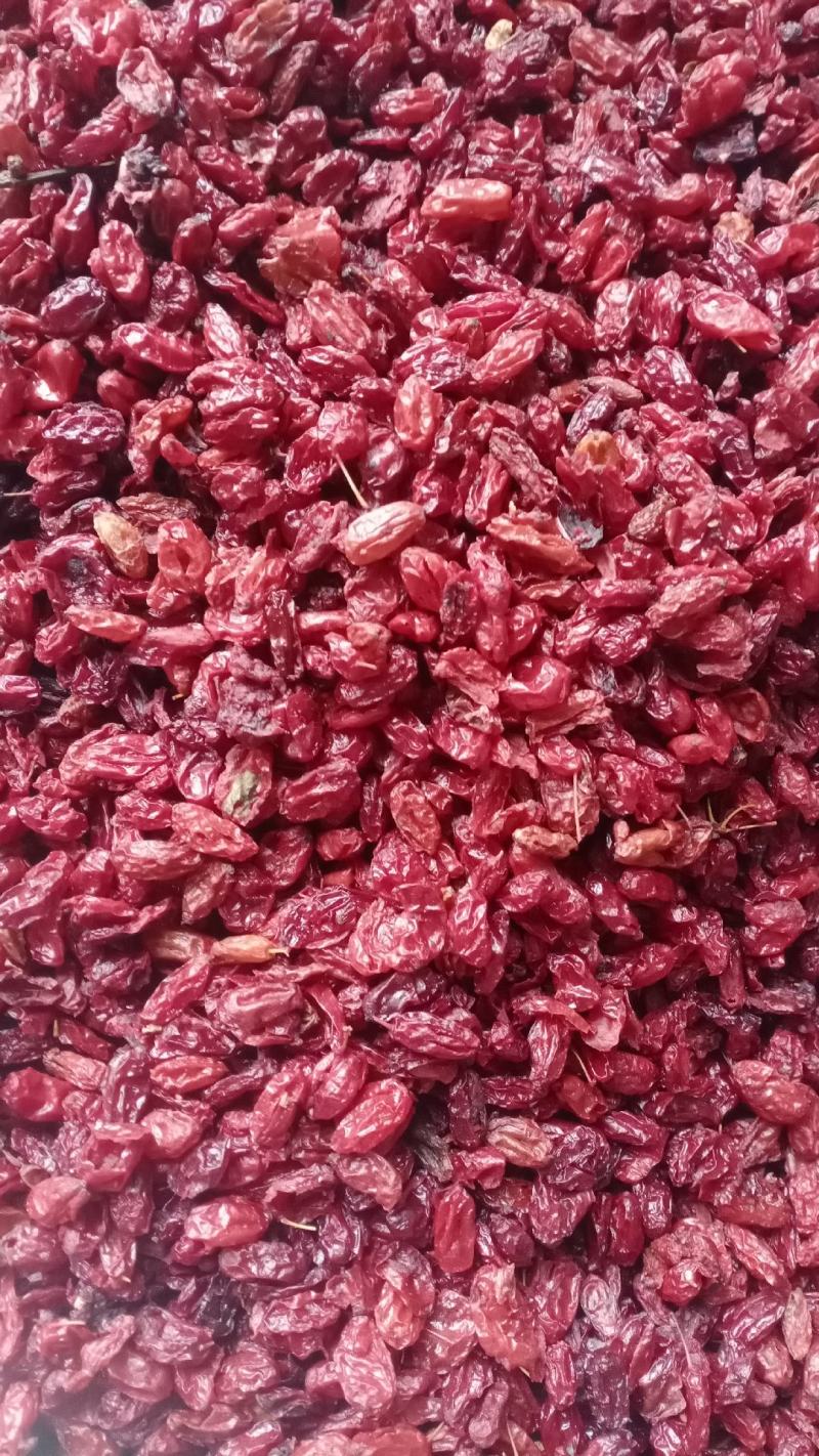 山芋肉产地一手货源量大优惠实物拍摄规格齐全