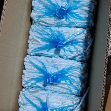 白玉菇
