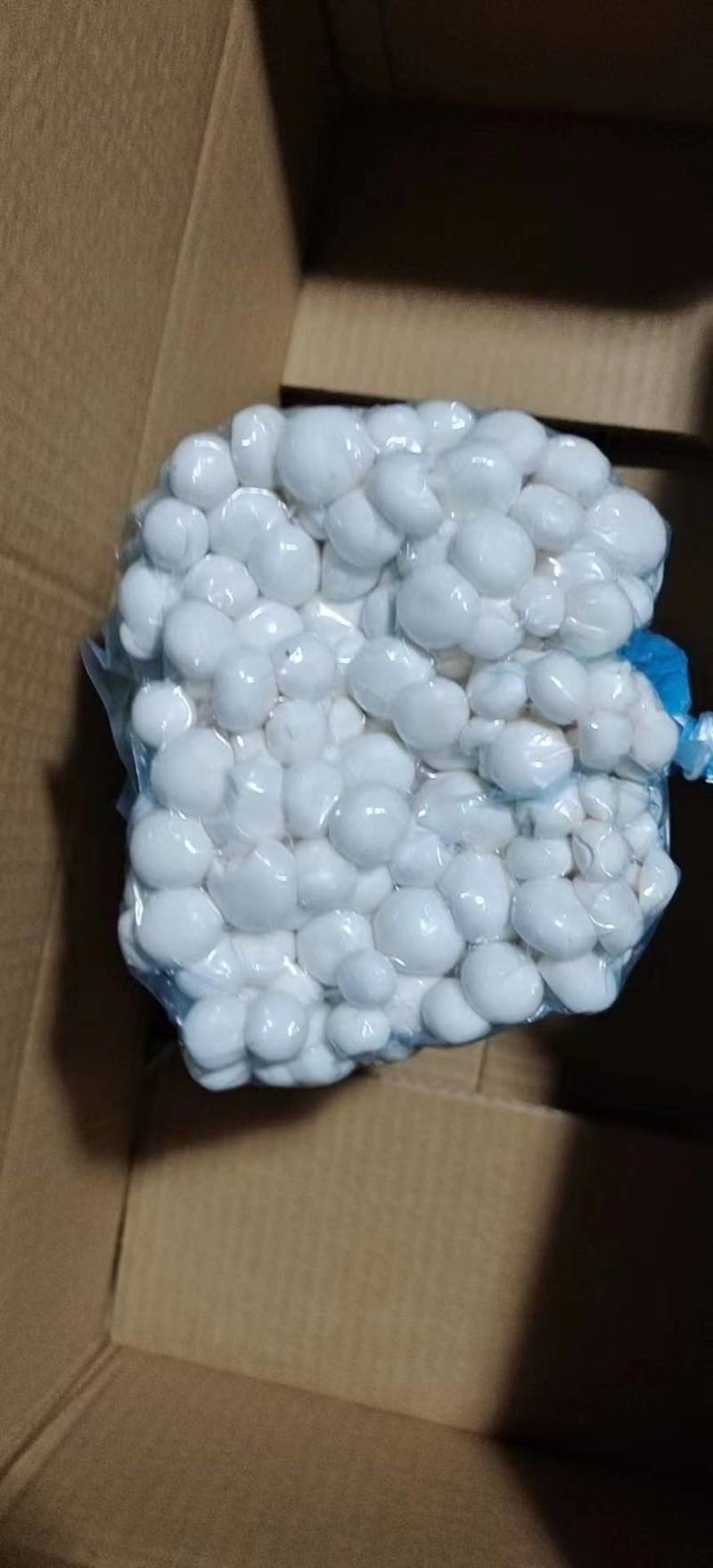 白玉菇