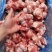 多肉棒骨