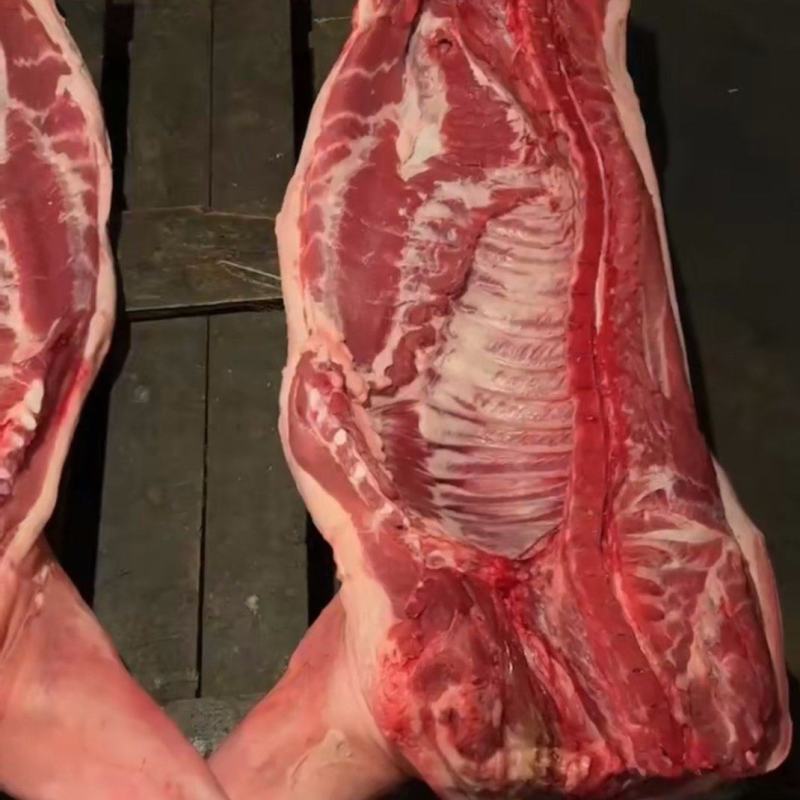 猪肉批发品质保证各种品类都有厂家发货关系咨询