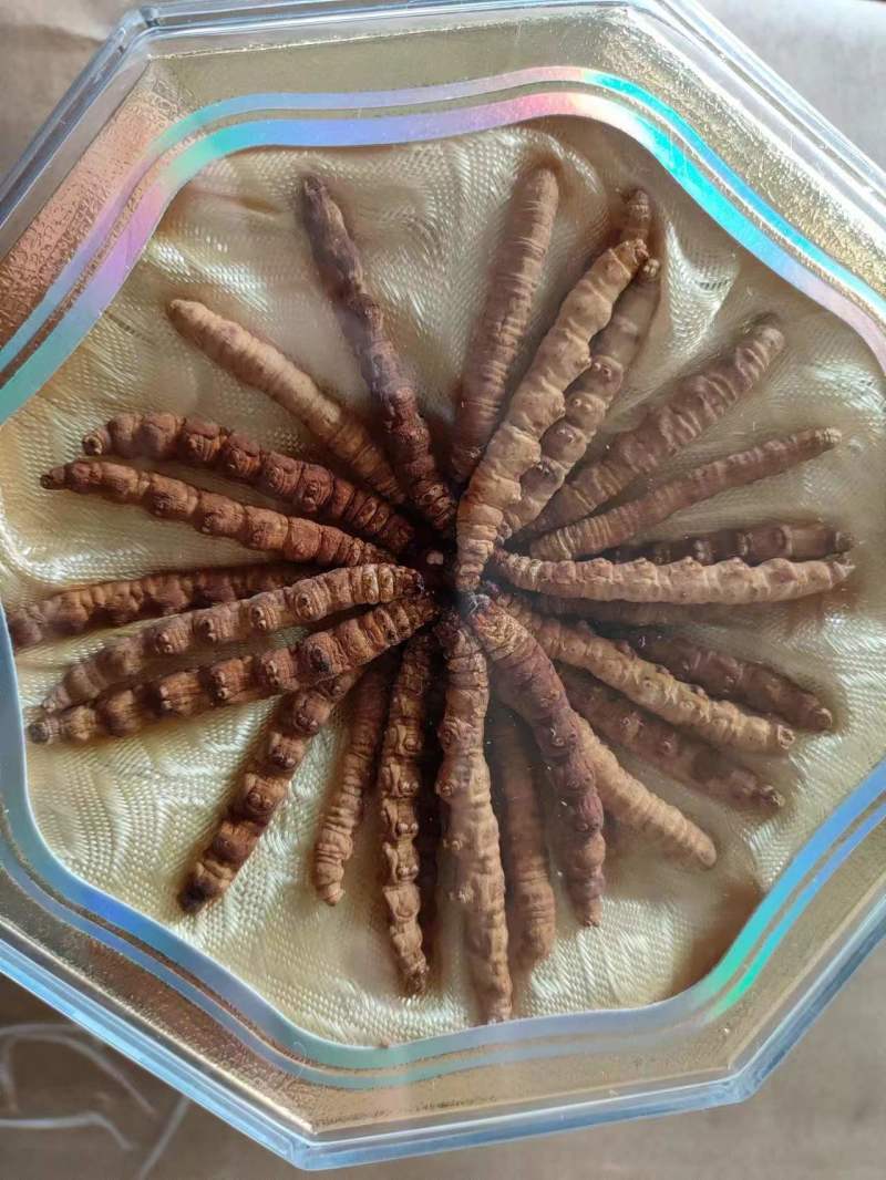 冬虫夏草虫草祥泰药材栈中药材批发零售实物拍摄量多从优