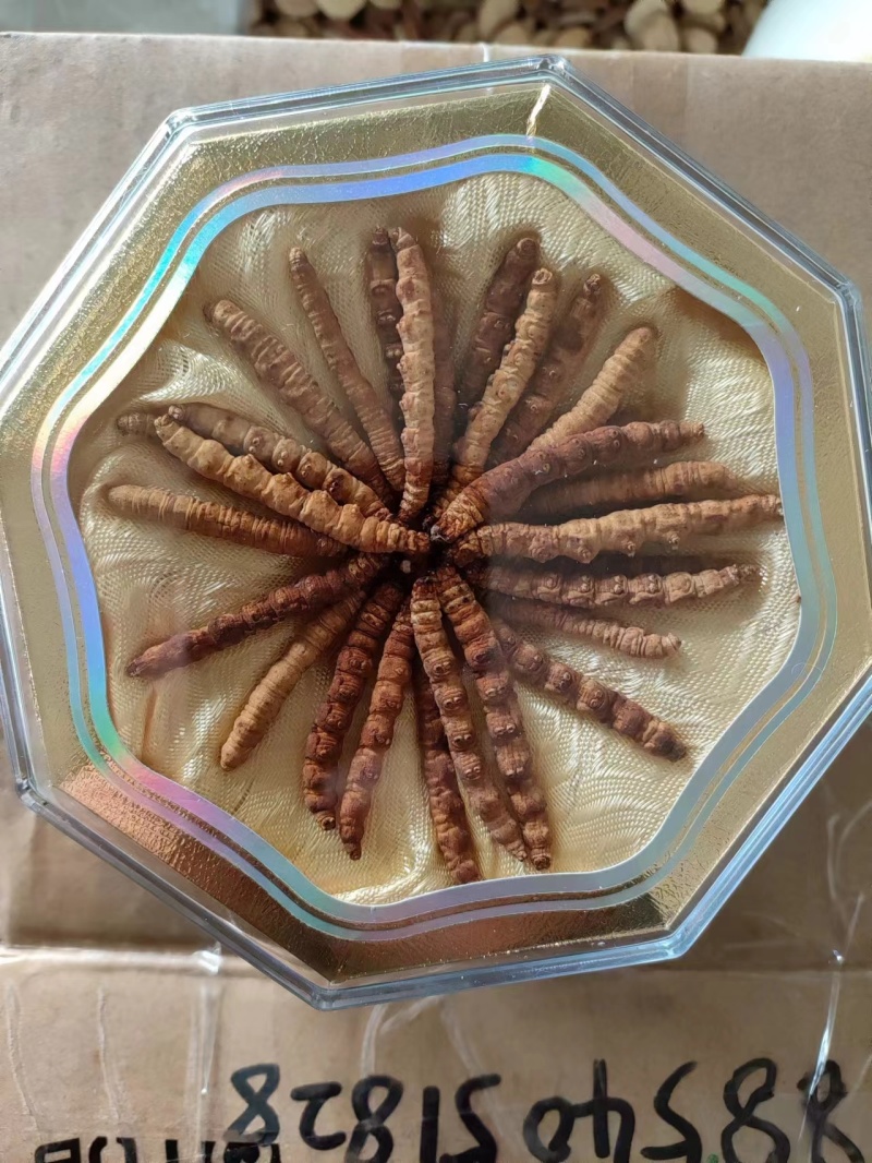 冬虫夏草虫草祥泰药材栈中药材批发零售实物拍摄量多从优
