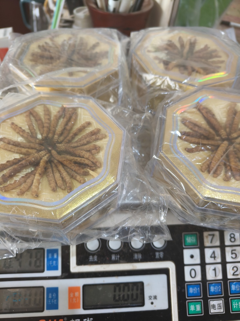 冬虫夏草虫草祥泰药材栈中药材批发零售实物拍摄量多从优