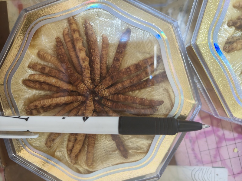 冬虫夏草虫草祥泰药材栈中药材批发零售实物拍摄量多从优
