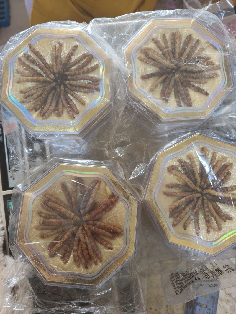 冬虫夏草虫草祥泰药材栈中药材批发零售实物拍摄量多从优