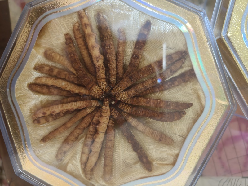 冬虫夏草虫草祥泰药材栈中药材批发零售实物拍摄量多从优