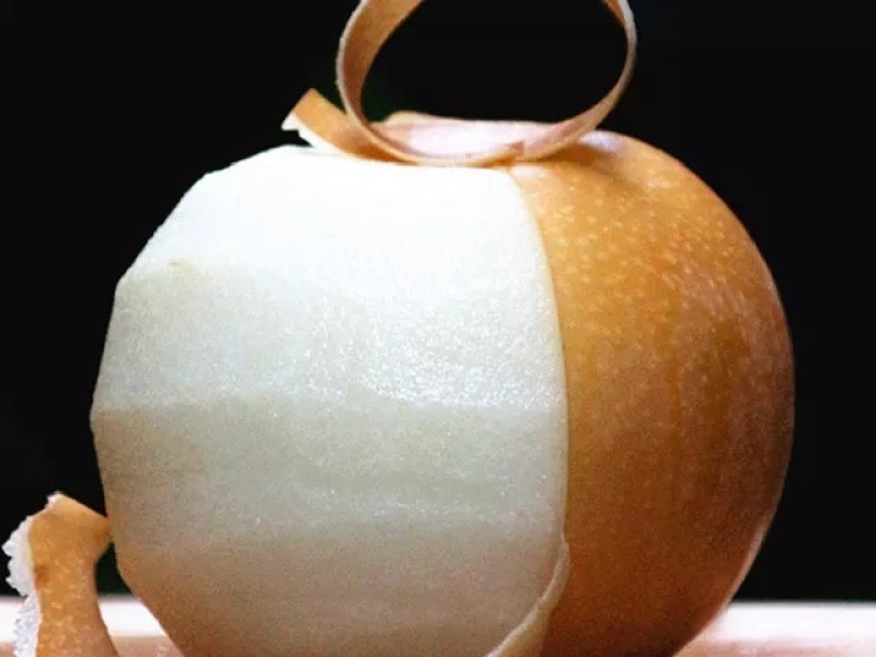 十年老店，只卖真苗！夏之蜜梨梨树苗，新品种早熟青脆梨梨苗