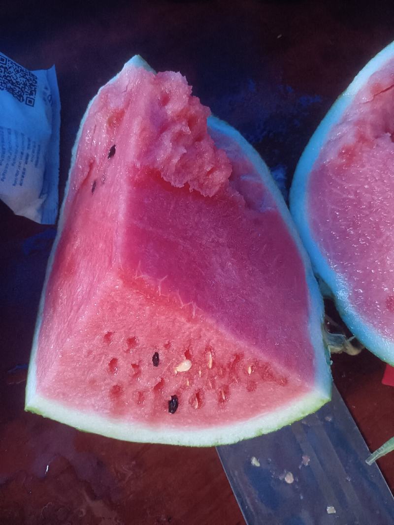 花无籽西瓜