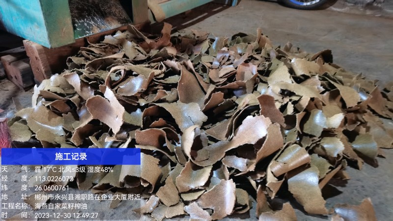 优质油菜籽，自己种植，出油率高