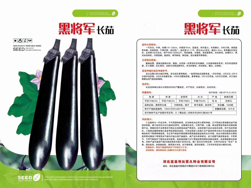 黑将军紫黑长茄种子中熟果长40厘米左右春秋栽培