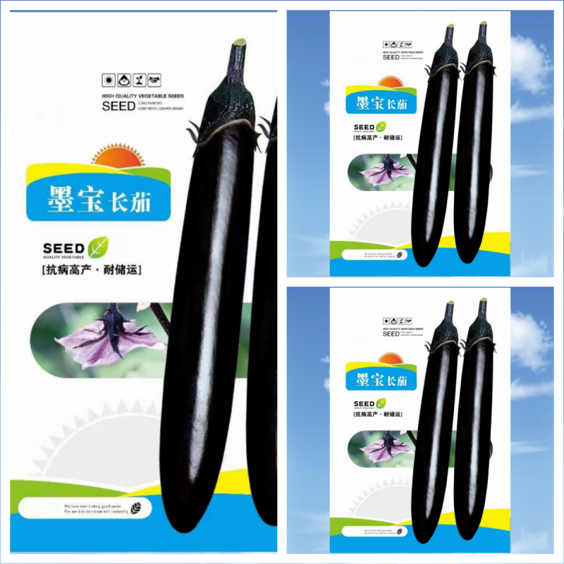 墨宝黑长茄种子适合春夏秋栽培单果长35-40厘米粗大