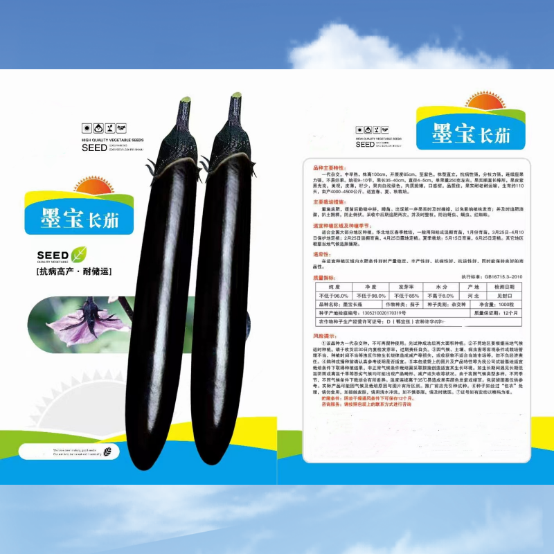 墨宝黑长茄种子适合春夏秋栽培单果长35-40厘米粗大