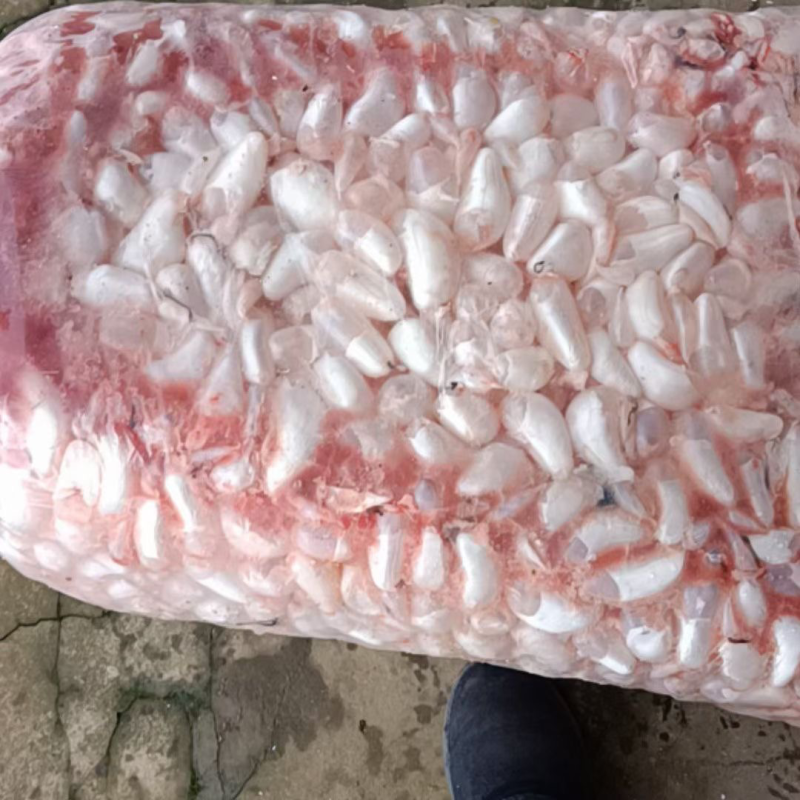 新鲜白鲢鱼泡
