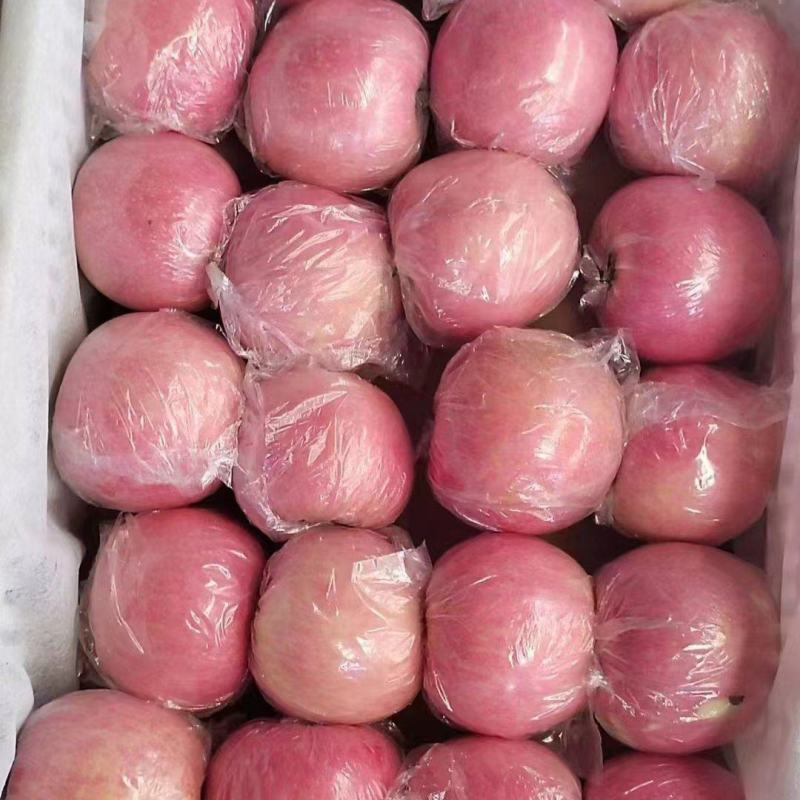 山西精品红富士80起套袋果供货稳定量大从优