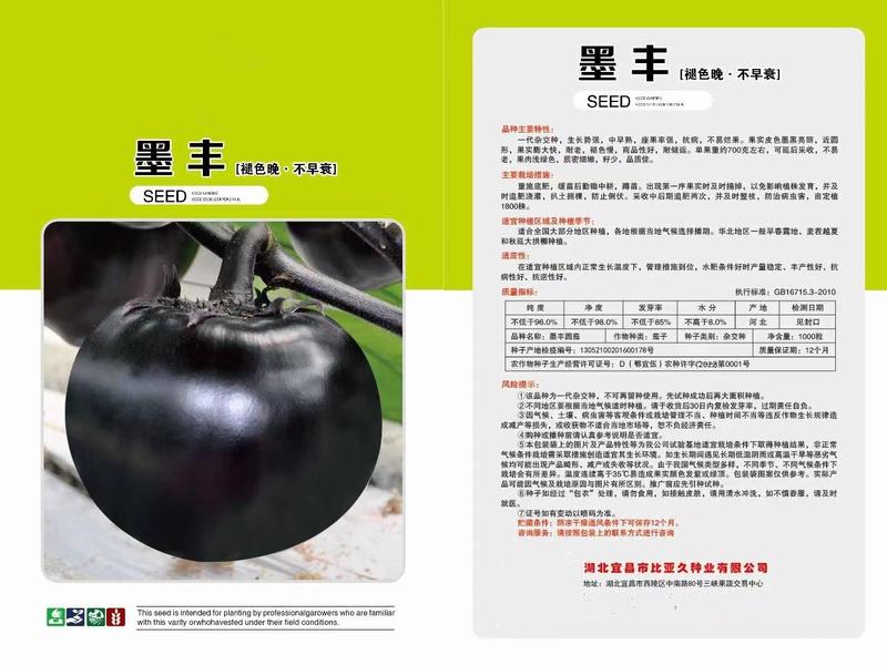 墨丰紫黑圆茄种子中早熟单果重约700克适合春夏秋栽