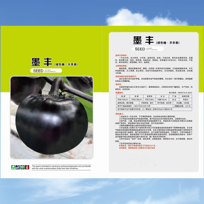 墨丰紫黑圆茄种子中早熟单果重约700克适合春夏秋栽