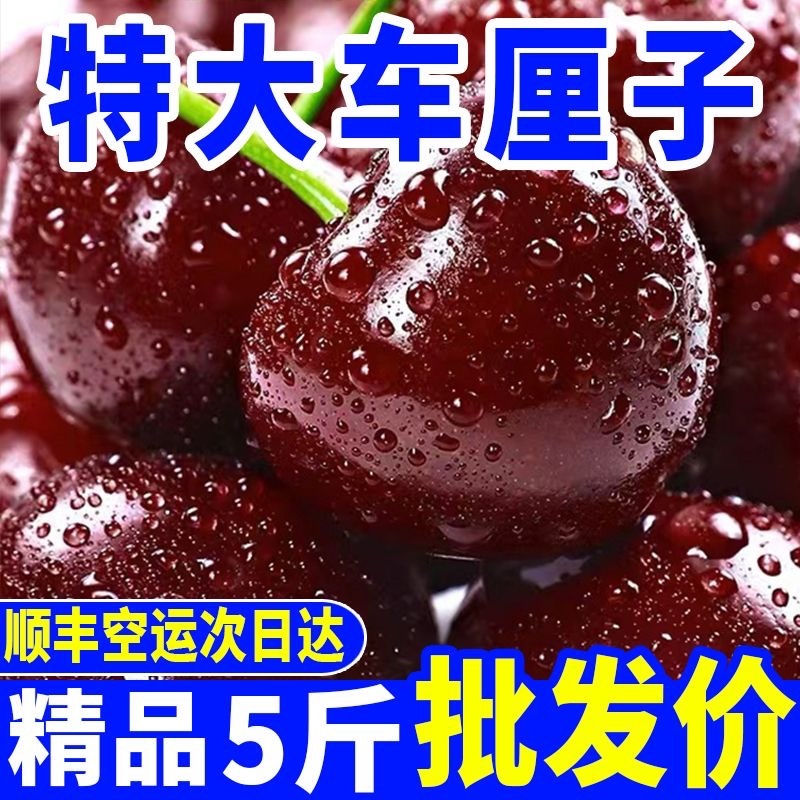 （顺丰包邮）智利车厘子樱桃新鲜水果黑珍珠水果批发